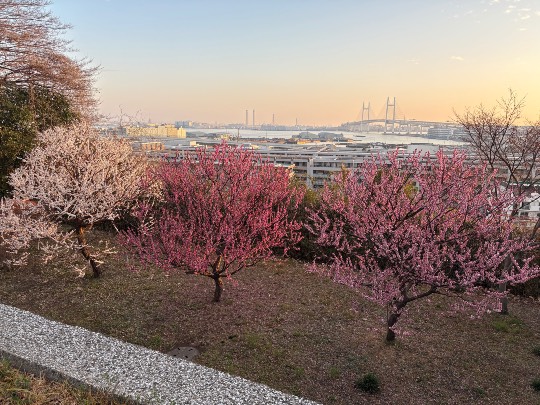 ★ドンキ♡♡ロピア雑談113★