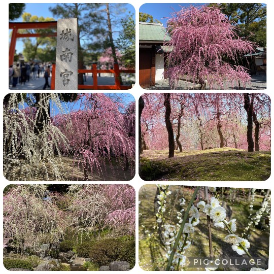 ★ドンキ♡♡ロピア雑談114★