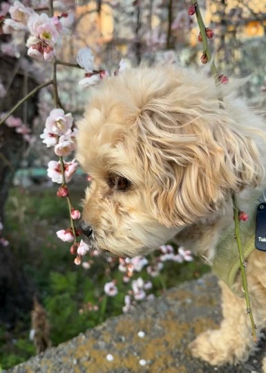 生き物ルーム74