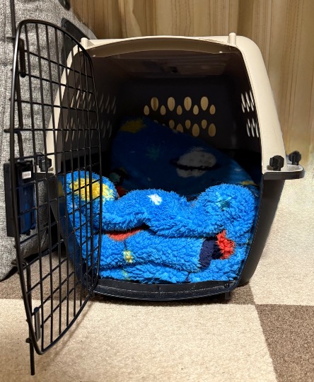 生き物ルーム74