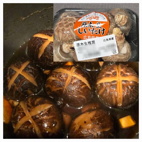 マスク同窓会詰め所兼ニューフェイス歓迎所46ヽ⁠(⁠*ﾟ⁠ｰﾟ⁠*⁠)