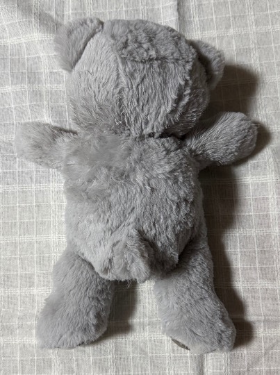 生き物ルーム74