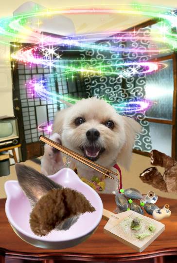 生き物ルーム74