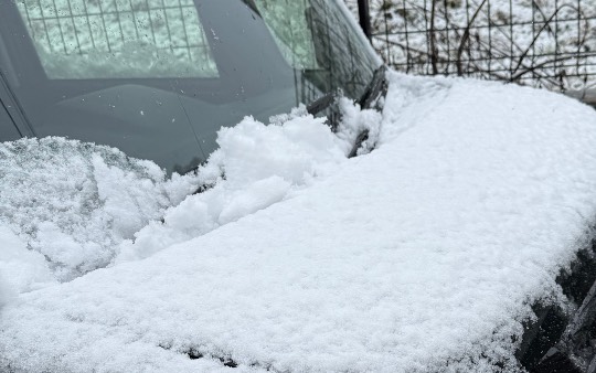 生き物ルーム74