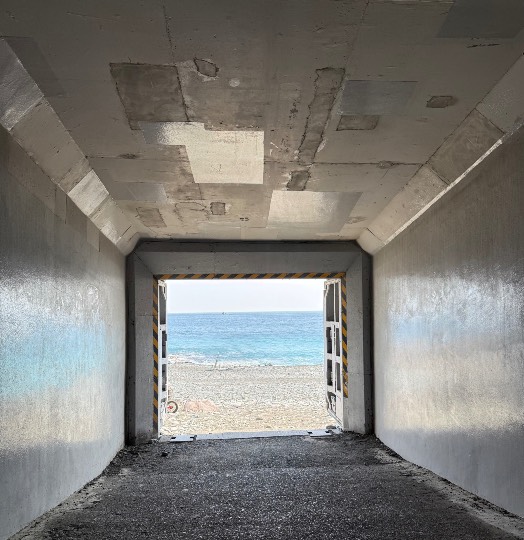 生き物ルーム74