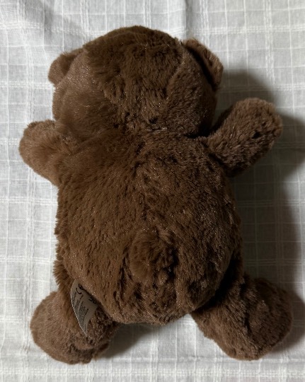 生き物ルーム74