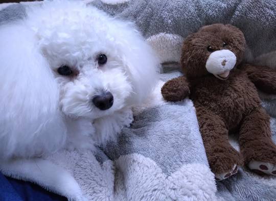 生き物ルーム74