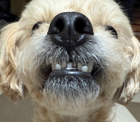 生き物ルーム74