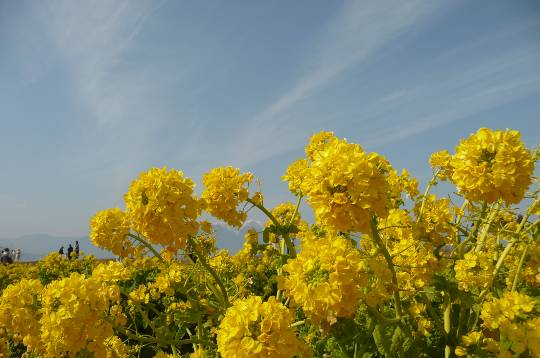 あつまれ！サブカルの森 ＃4