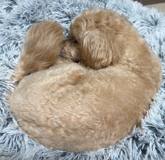 生き物ルーム74