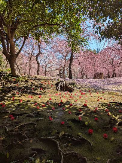 【スナックJlNJlN】キッチンカー　明日こそ咲く夢　出張営業８