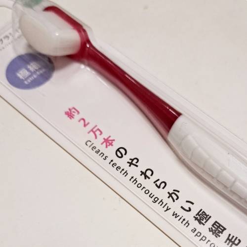 生き物ルーム74