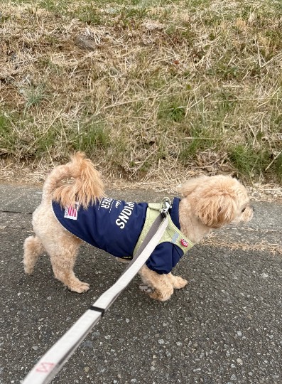 生き物ルーム74