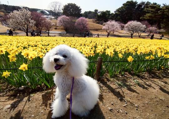 生き物ルーム74