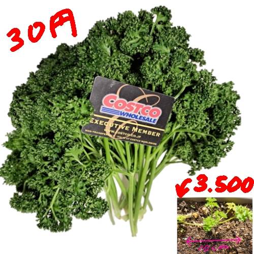 生き物ルーム74