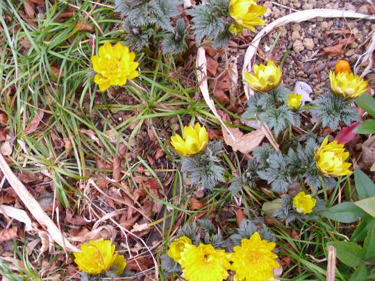 ★ドンキ♡♡ロピア雑談113★