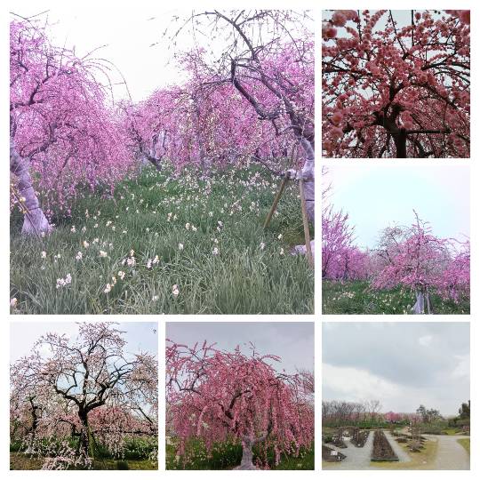 ◆15◆関西トピ