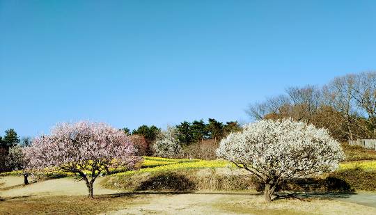マスク同窓会詰め所兼ニューフェイス歓迎所46ヽ(*゚ー゚*)