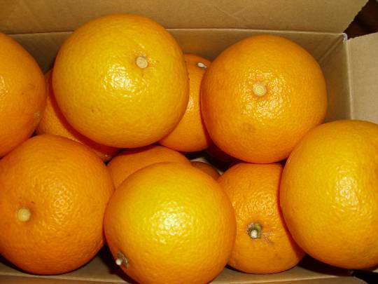 ★ドンキ♡♡ロピア雑談113★