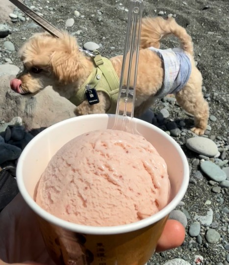 生き物ルーム74