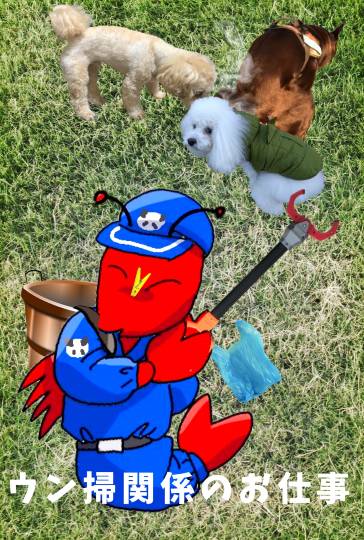 生き物ルーム74