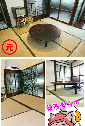 生き物ルーム74