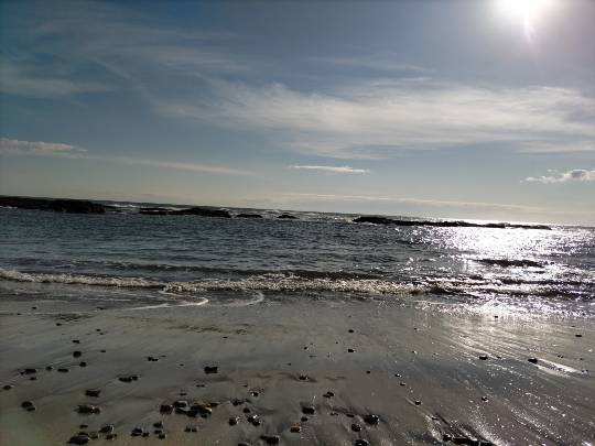 ★ドンキ♡♡ロピア雑談114★