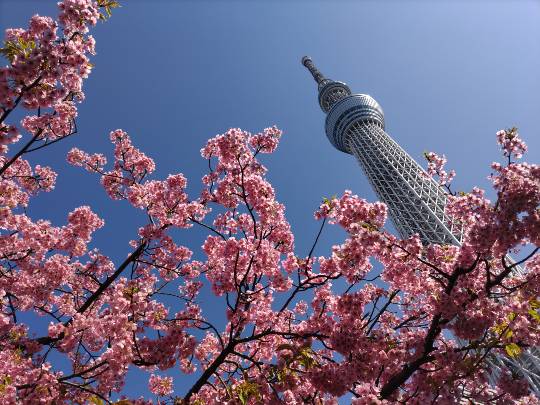 【スナックJlNJlN】キッチンカー　明日こそ咲く夢　出張営業８