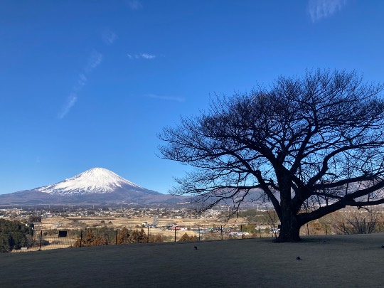 あつまれ！サブカルの森 ＃4