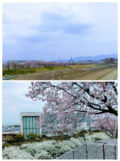 ◆15◆関西トピ