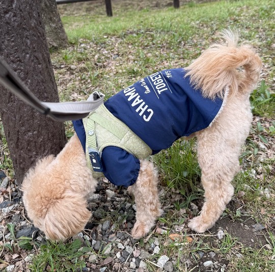 生き物ルーム74