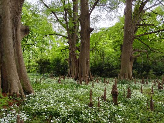 雑談お絵描き部・コラージュ部・素材提供部 No.19