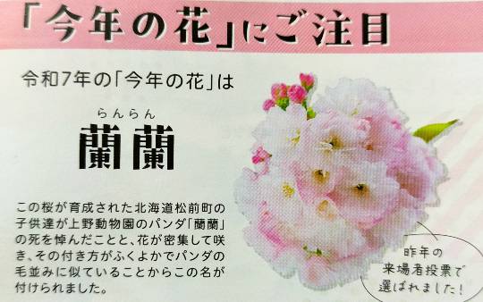 ★ドンキ♡♡ロピア雑談115★