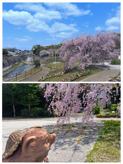 ◆15◆関西トピ