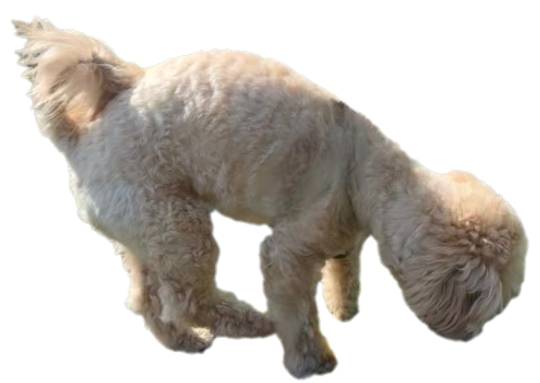 生き物ルーム74