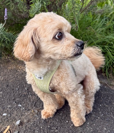 生き物ルーム74