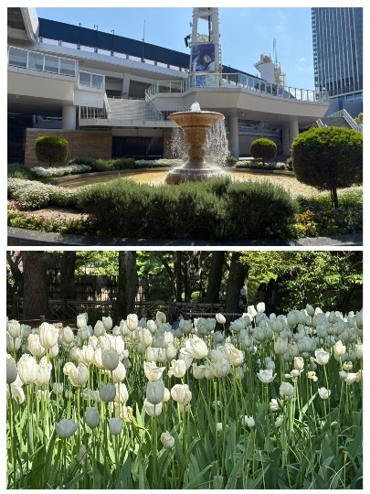 ★ドンキ♡♡ロピア雑談116★