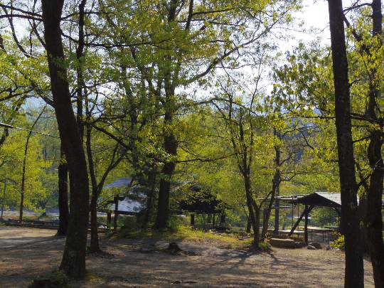 あつまれ！サブカルの森 ＃4