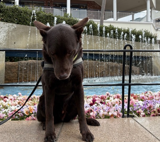 生き物ルーム74