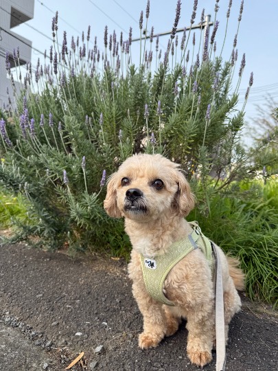 生き物ルーム74