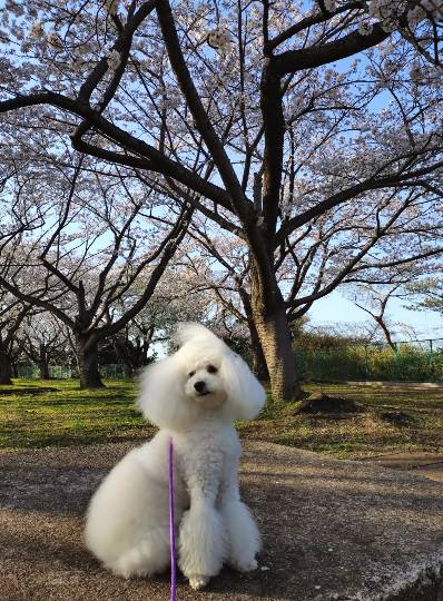 生き物ルーム74