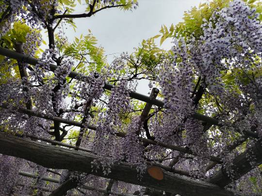 雑談お絵描き部・コラージュ部・素材提供部 No.19