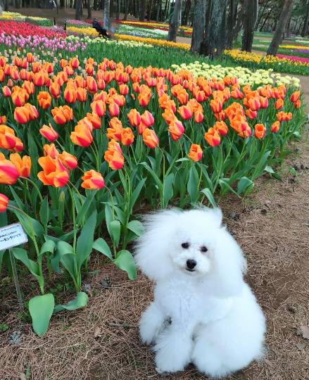 生き物ルーム74