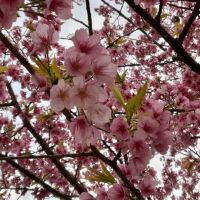 4月16日(水曜日) 　尼崎倉庫店｜12時30分ごろにガスステーション到着。...