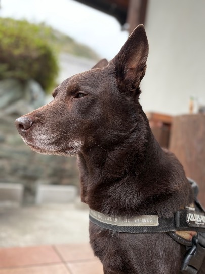 生き物ルーム74