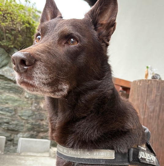 生き物ルーム74