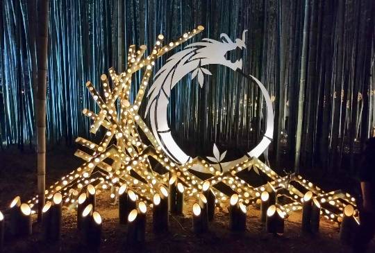 生き物ルーム74