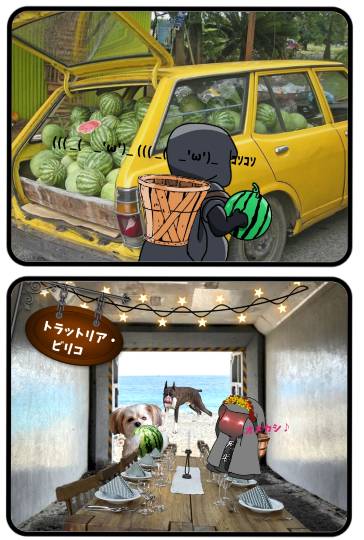 生き物ルーム74