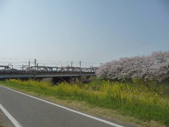 【スナックJlNJlN】キッチンカー　明日こそ咲く夢　出張営業８