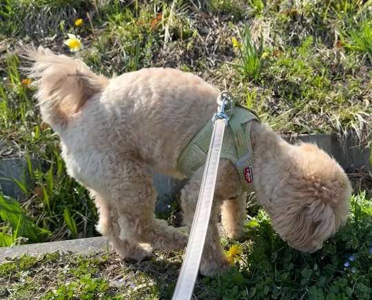 生き物ルーム74